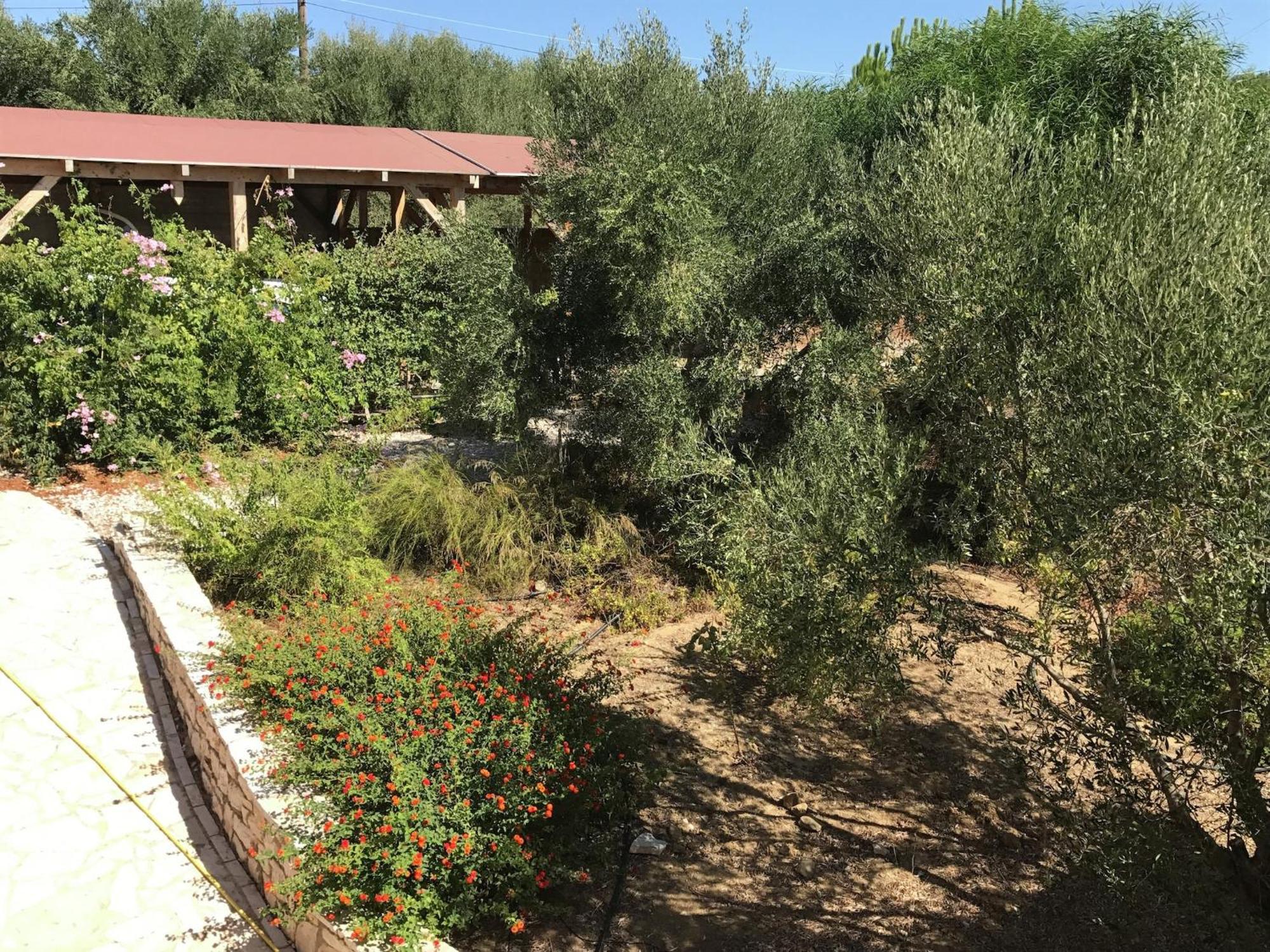 Luxurious Villa In Peloponnese With Swimming Pool Kamária Exterior photo